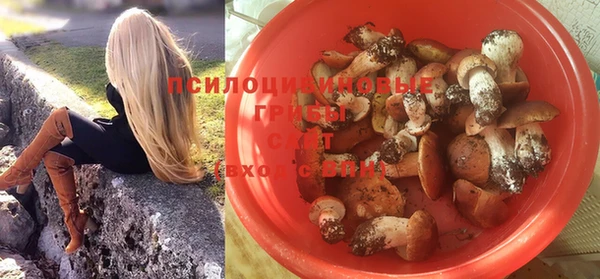 дживик Нея