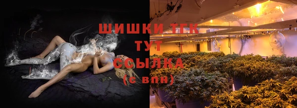 молекула духа Новокубанск