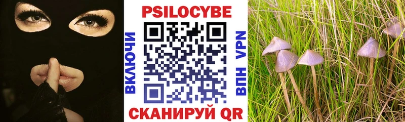 ОМГ ОМГ зеркало  цена   Калининск  Галлюциногенные грибы мухоморы 